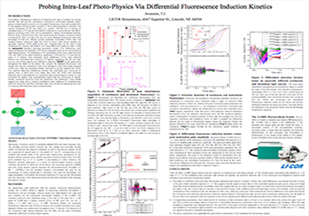 Probing Intra-Leaf Photo-Physics Via Differential Fluorescence Induction Kinetics